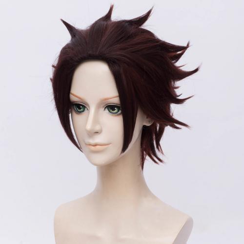 COSPLAY TOKO GHOUL KAMADO TANJIROU WIG WG1064
