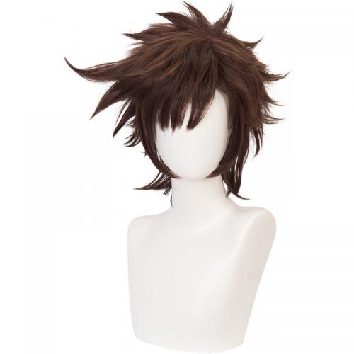 Wigtoday.com, JoJo'S Bizarre Adventure Joseph Joestar Brown Cosplay Wig WG1085 JoJo'S Bizarre Adventure Joseph Joestar Brown Cosplay Wig WG1085