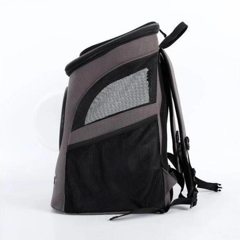 the fat cat backpack